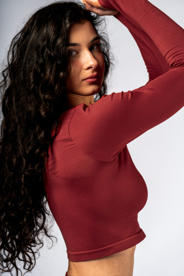 SEAMLESS LONG SLEEVE CROP TOP POWER 892