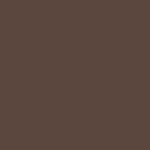 dark brown CLASSIC HOODIE OFF-DUTY 489