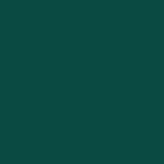 dark green OVERSIZED T-SHIRT PRIMAL 869